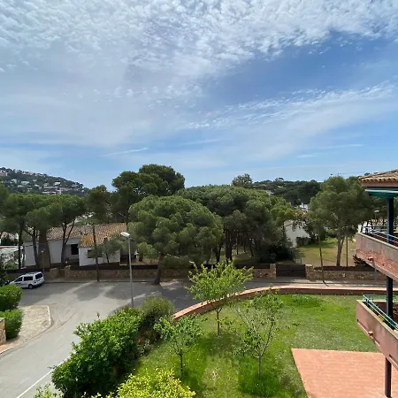 Con Piscina En Appartement